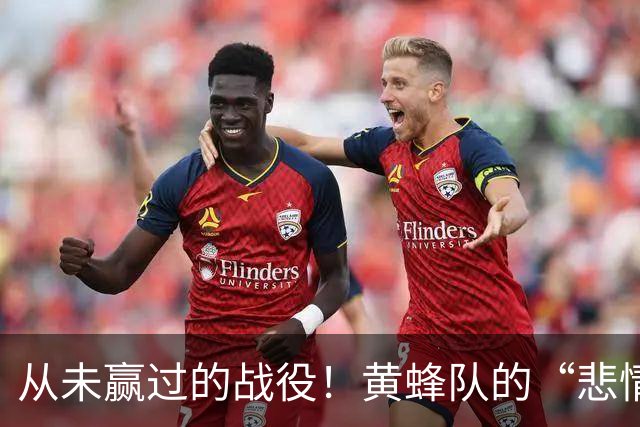 从未赢过的战役！黄蜂队的“悲情”季后赛历史