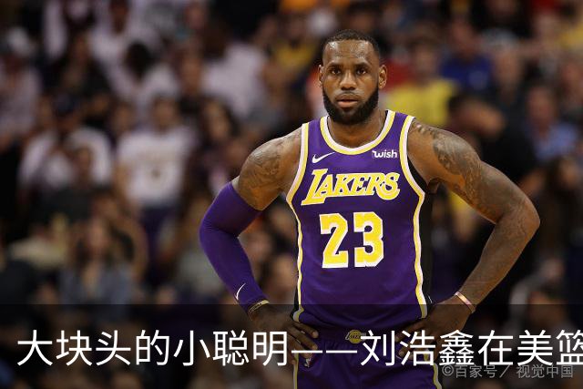 大块头的小聪明——刘浩鑫在美篮的成长故事