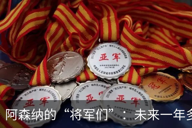 阿森纳的“将军们”：未来一年多的转会风云